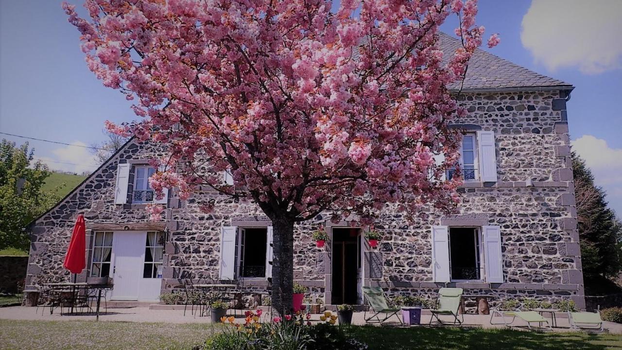 Rochefort-Montagne Maison D'Hotes La Nichee מראה חיצוני תמונה